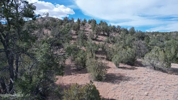 52471 N Camino Gato, Seligman, AZ 86337
