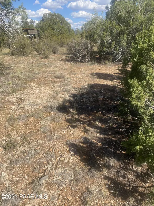 34760 La Plancha Pkwy, Seligman, AZ 86337
