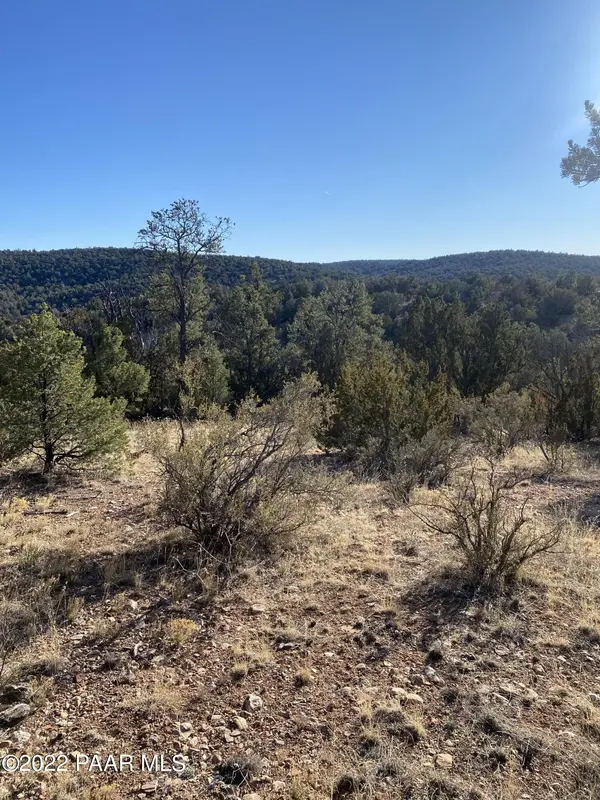 51804 N Cordero RD, Seligman, AZ 86337