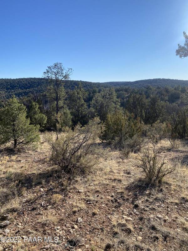 51804 N Cordero RD, Seligman, AZ 86337