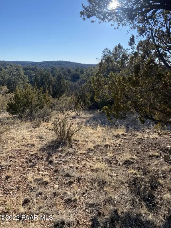 51804 N Cordero RD, Seligman, AZ 86337