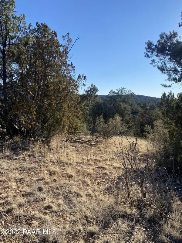 51824 N Cordero RD, Seligman, AZ 86337