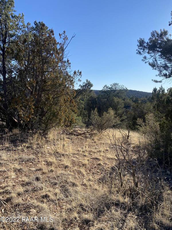 51824 N Cordero RD, Seligman, AZ 86337