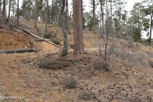 4850 S View RD, Prescott, AZ 86303