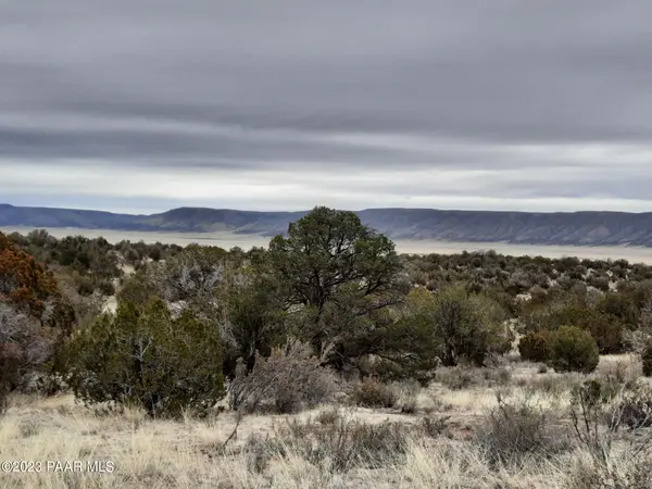57139 N Bridge Canyon Pkwy, Seligman, AZ 86337