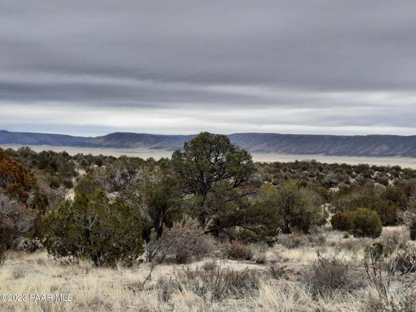 57139 N Bridge Canyon Pkwy, Seligman, AZ 86337