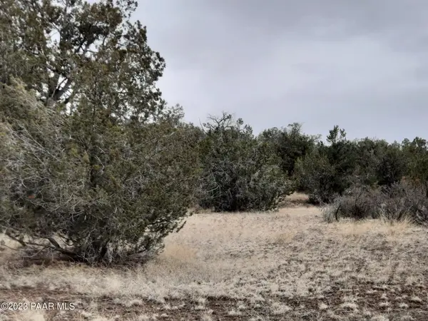 57139 N Bridge Canyon Pkwy, Seligman, AZ 86337