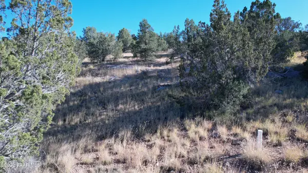 30863 W Basconia RD, Seligman, AZ 86337