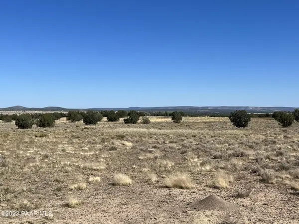 135 NW Boars Breath RD, Ash Fork, AZ 86320