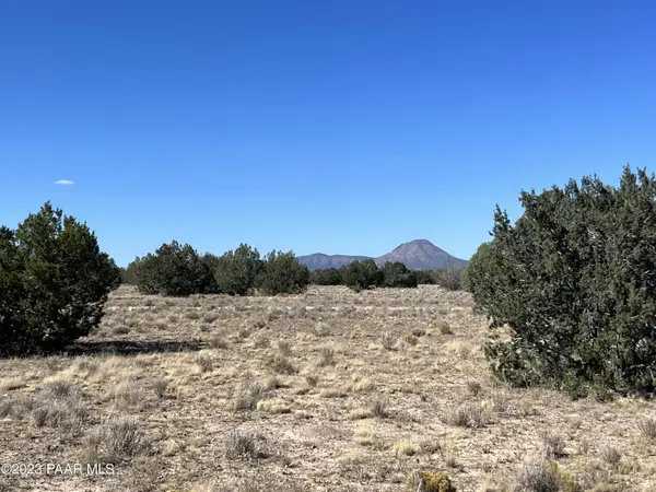 135 NW Boars Breath RD, Ash Fork, AZ 86320