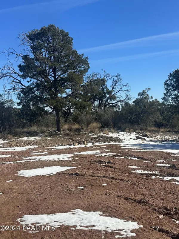 52084 Calle Ciervo, Seligman, AZ 86337