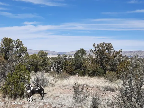 58153 N Calle Carlota, Seligman, AZ 86337