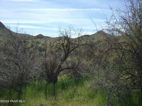 4200 N Castle Hot Springs RD, Morristown, AZ 85342