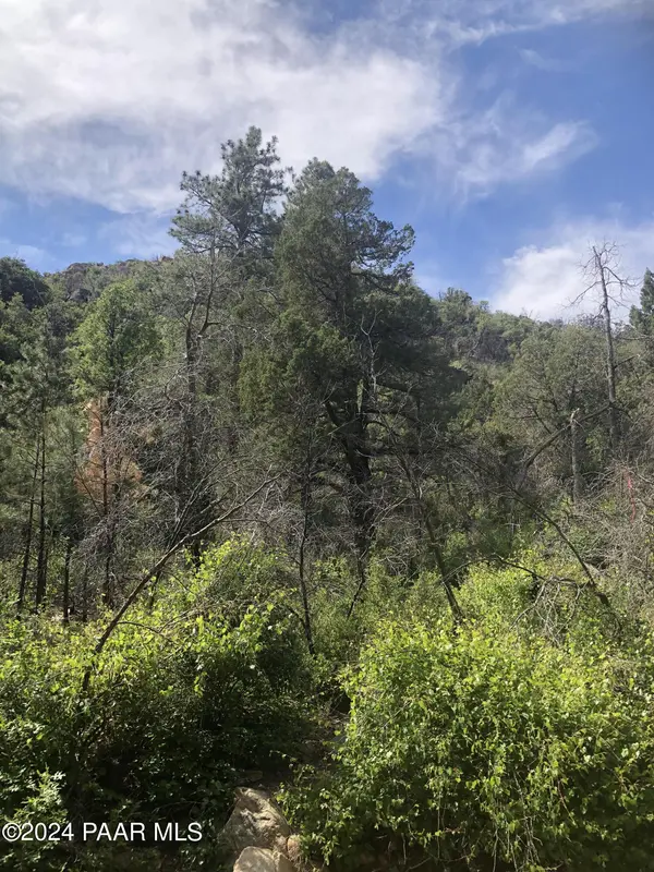 000 Lot 205-12-023, Prescott, AZ 86303