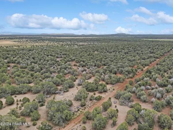 11189 Huckleberry RD, Ash Fork, AZ 86320