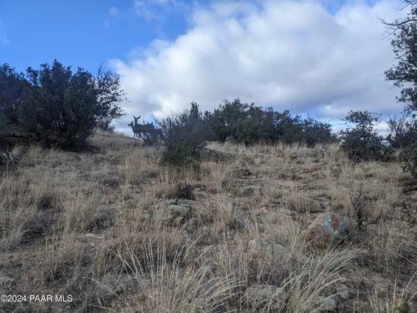1466 Sierry Springs DR, Prescott, AZ 86305