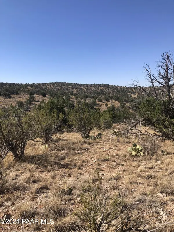 29605 W Rock Ridge RD, Seligman, AZ 86337
