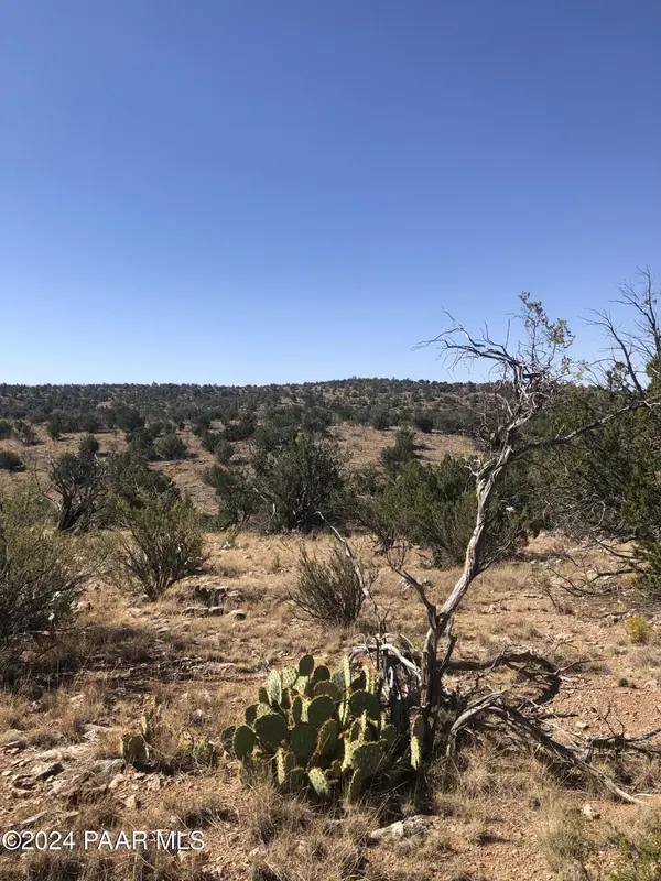 29605 W Rock Ridge RD, Seligman, AZ 86337