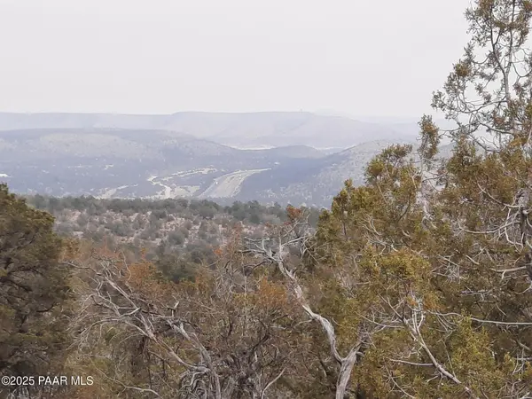 Lot 1401 N Lightning Ridge Rd, Seligman, AZ 86337