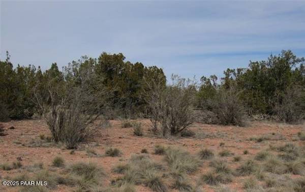 55899 N Val Vista RD, Seligman, AZ 86337