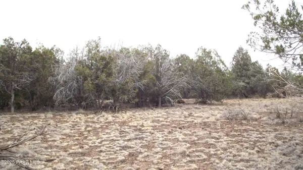 3581 Knoll DR, Williams, AZ 86046