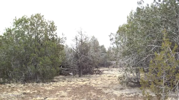 3581 Knoll DR, Williams, AZ 86046