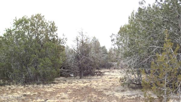 3581 Knoll DR, Williams, AZ 86046
