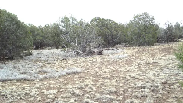 3581 Knoll DR, Williams, AZ 86046