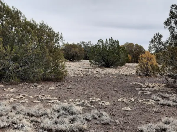 Lot 1359 Off Last Chance Rd, Seligman, AZ 86337