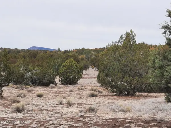Lot 1359 Off Last Chance Rd, Seligman, AZ 86337