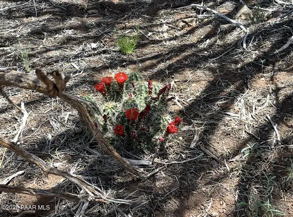 Lot 1097 Westwood Ranches, Williams, AZ 86046