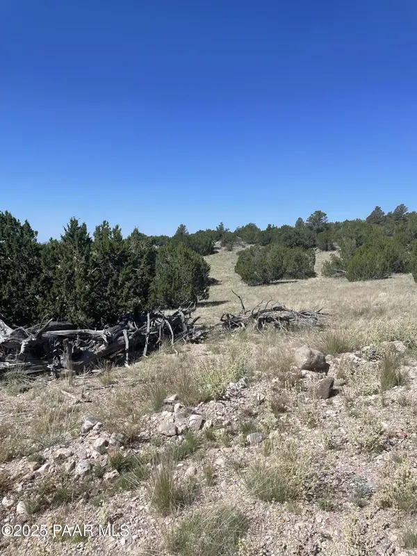 37925 W Raptor RD, Seligman, AZ 86337