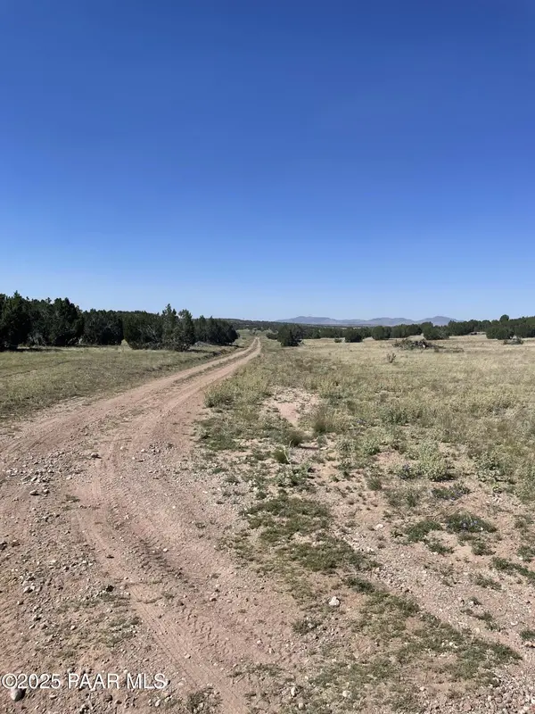 37925 W Raptor RD, Seligman, AZ 86337