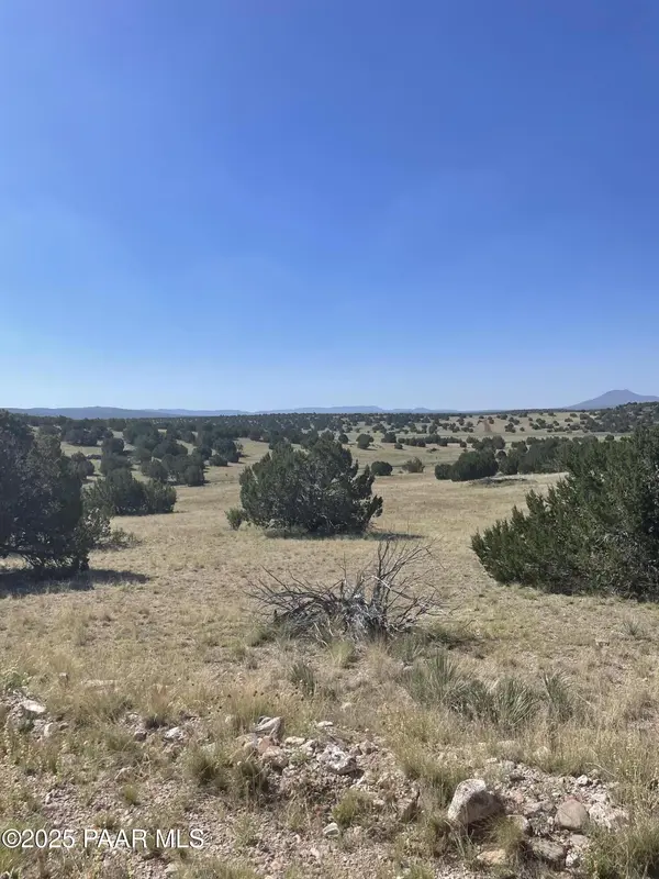 37925 W Raptor RD, Seligman, AZ 86337