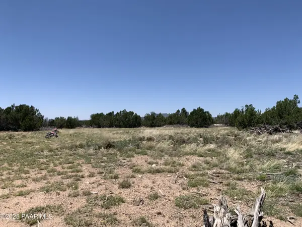 37925 W Raptor RD, Seligman, AZ 86337