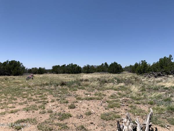 37925 W Raptor RD, Seligman, AZ 86337