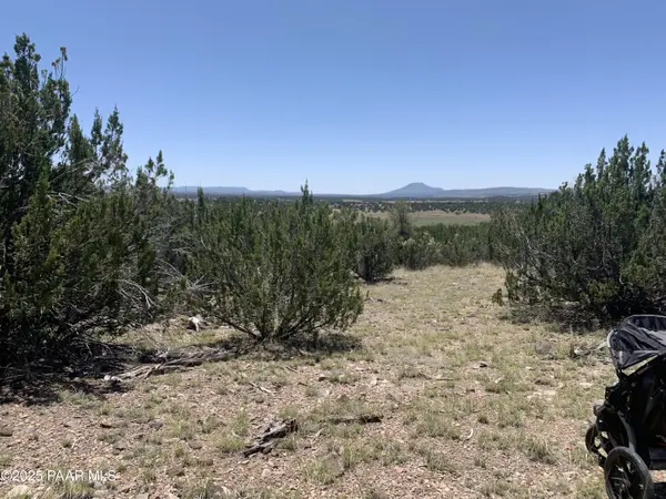 37925 W Raptor RD, Seligman, AZ 86337