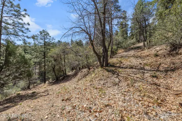 1516 N Holly Drive, Prescott, AZ 86305