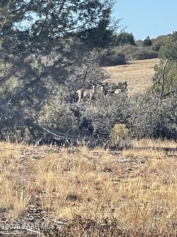 13225 N Pheasant Run RD, Prescott, AZ 86305