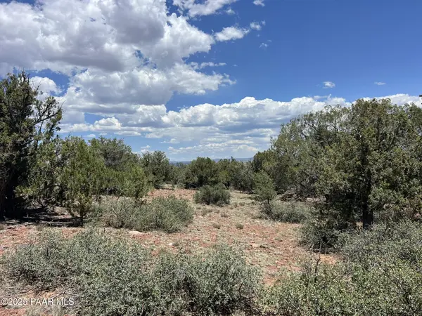 61 Colt Ct Ne4 RD, Ash Fork, AZ 86320