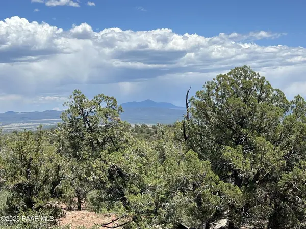 61 Colt Ct Ne4 RD, Ash Fork, AZ 86320