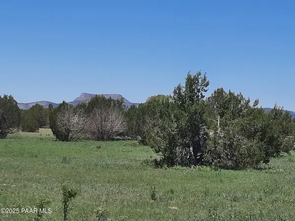 Lot 1316 Anvil Rock Rd, Seligman, AZ 86337