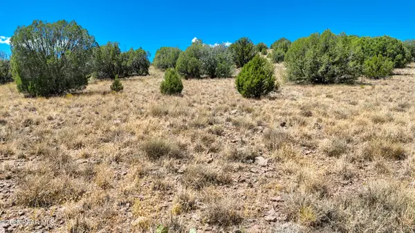 00 N Hilltop Trl, Lot D2, Chino Valley, AZ 86323