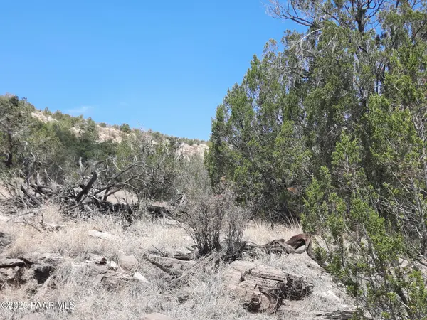 52852 N Calle Campo, Seligman, AZ 86337