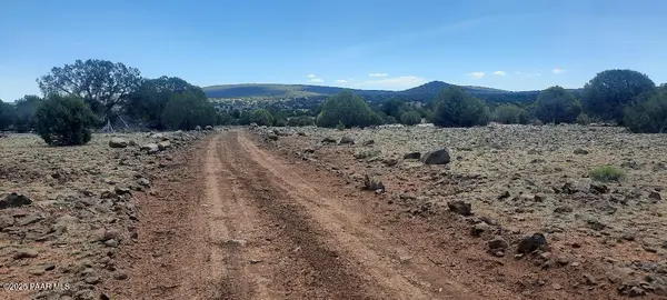 Xxxx Martinez, Williams, AZ 86046