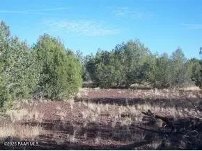 3792 N Cleo DR, Williams, AZ 86046