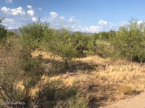 29620 S State Route 89, Congress, AZ 85332