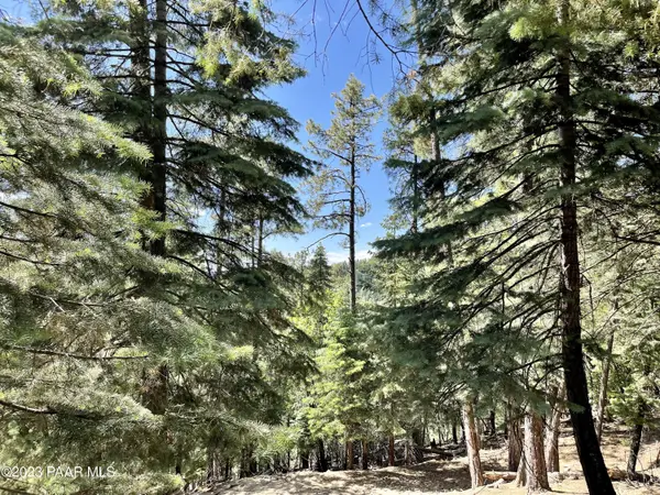 2440 E Summit AVE, Prescott, AZ 86303