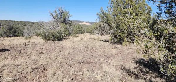 3214 N Kerren Lp, Ash Fork, AZ 86320