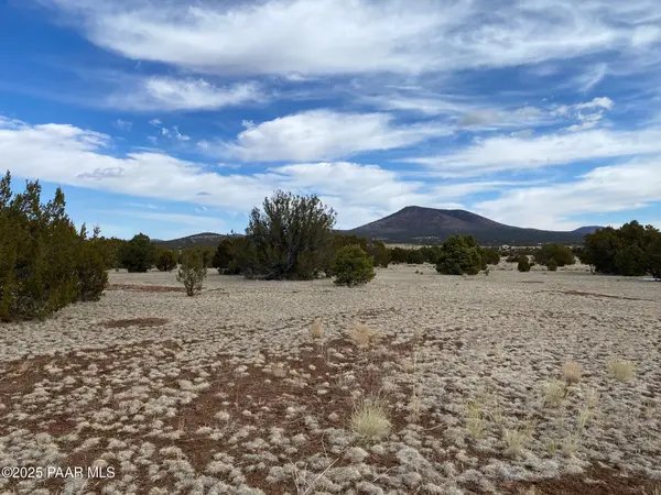 7378 Tulip TRL, Williams, AZ 86046